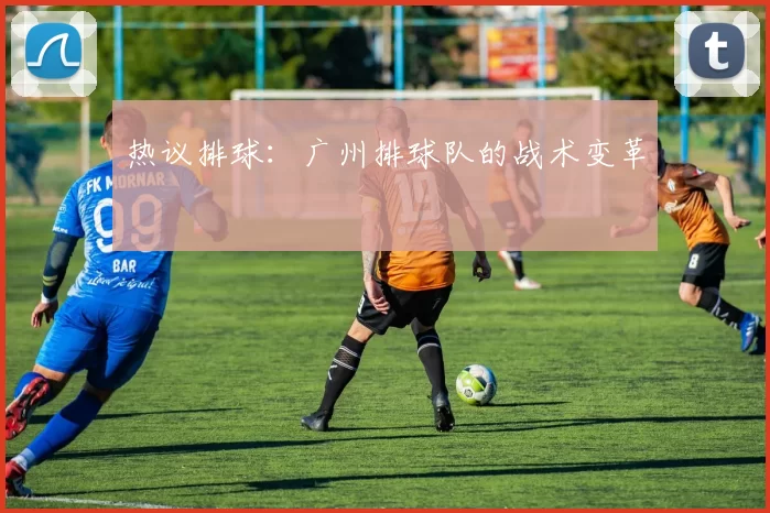 热议排球：广州排球队的战术变革