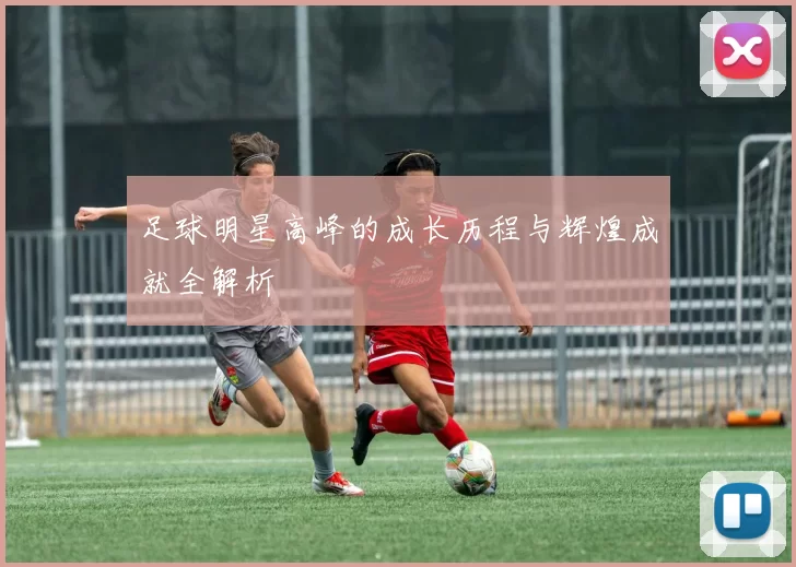 足球明星高峰的成长历程与辉煌成就全解析