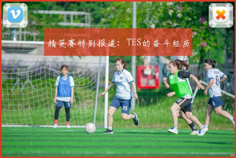 精英赛特别报道：TES的奋斗经历