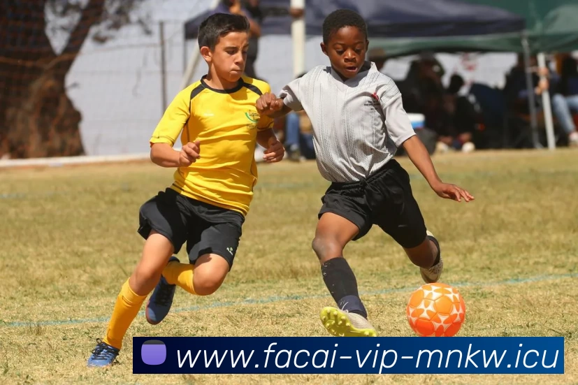 乐鱼体育发展历程