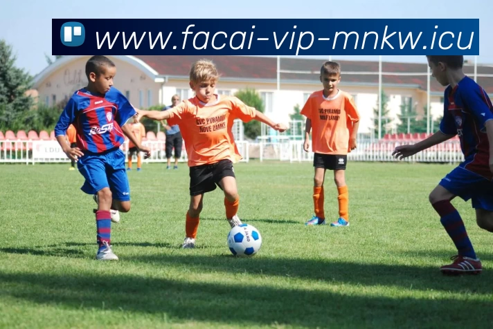 热议排球：广州排球队的战术变革